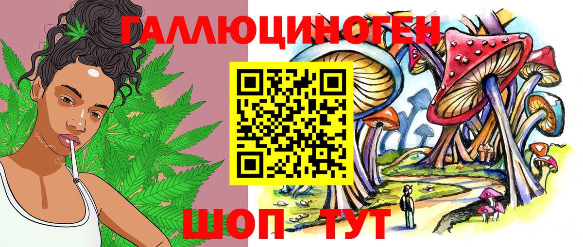 Кизилюрт  Псилоцибиновые грибы мухоморы  Вход с VPN 